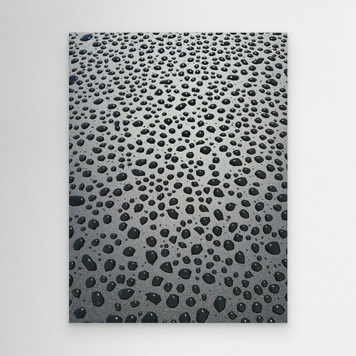 Black pearls - Copy